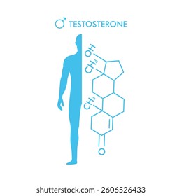 Testosterone molecular formula with blue man silhouette