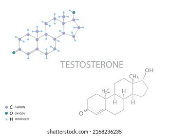 Testosterone Molecular Skeletal 3d Chemical Formula Stock Vector 