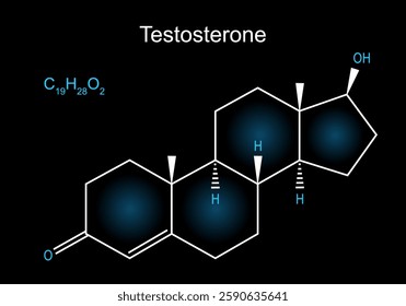 Testosterone molecule. Skeletal chemical formula of male sex hormone on dark background. Hormone replacement therapy. Molecular structural formula and model of androgen. Libido. Endocrine system