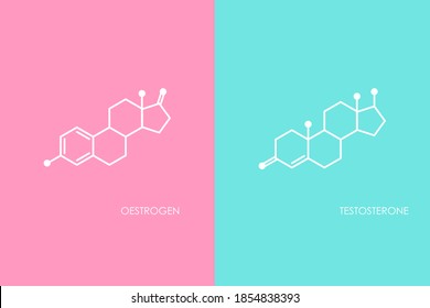 Testosterone and Oestrogen molecula structure. Blue and pink line icon isolated on white background. Male and female sex hormone molecule. strong emotions, energy symbol
