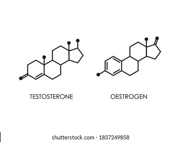 Testosterone and Oestrogen molecula structure. colorful line icon isolated on white background. Male and female sex hormone molecule. strong emotions, energy symbol