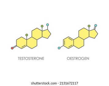 Estructura molécula de estosterona y estrogen. icono de línea colorida aislado en fondo blanco. Molécula de hormona sexual masculina y femenina. emociones fuertes, símbolo de energía