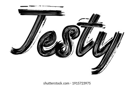 Testy Black Text Hand written Brush font drawn phrase Typography decorative script letter on the White background for sayings