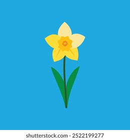 Tete a tete Daffodil flower vector art illustration features a vibrant, stylized depiction of daffodils in a clean, digital design format, perfect for use in print, web, and graphic design projects