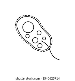 tetra coccus bacteria virus line icon on white background. element of bacterium virus illustration icons. signs symbols can be used for web logo mobile app UI UX
