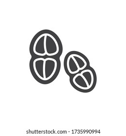 Tetracoccus bacteria células icono vector. signo plano relleno para concepto móvil y diseño web. Icono de glifo de dióico Tetracoccus. Símbolo, ilustración del logotipo. Gráficos vectoriales