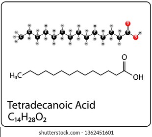 Tetradecanoic Acid Molecule Structure