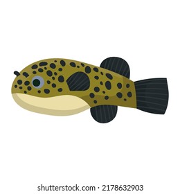 Tetradon fish aquarium water animal nature and vector underwater aquatic art. Tropical illustration fish with tail and fin. Beautiful decorative multicolored pet drawing and ichthyology coral reef