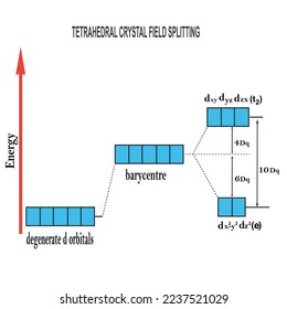 Tetrahedral-Kristallfeld in Koordinationsverbindungen aufspalten, entgenarate d Orbitale in zwei Reihen aufteilen, Vektorgrafik