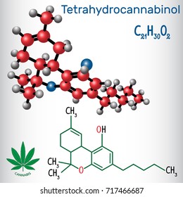 Tetrahydrocannabinol (THC) - structural chemical formula and molecule model. Is the principal psychoactive constituent of cannabis. Vector illustration 