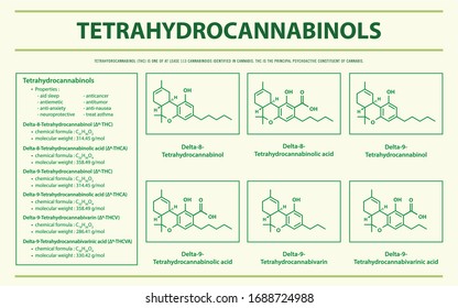 Tetrahidrocannabinol THC con Fórmulas Estructurales en la ilustración infográfica horizontal de cannabis como medicina alternativa herbaria y terapia química, salud y vector médico.