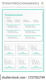 Tetrahydrocannabinol THC with Structural Formulas in Cannabis vertical business infographic illustration about cannabis as herbal alternative medicine and chemical therapy, healthcare medical  vector.