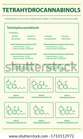 Tetrahydrocannabinol THC with Structural Formulas in Cannabis vertical infographic illustration about cannabis as herbal alternative medicine and chemical therapy, healthcare and medical vector.
