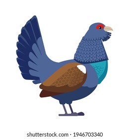 Vista lateral Tetrao urogallus o Capercaillie. Ave silvestre. Grupo de madera euroasiática faisán, acacia de ornitología de estilo plano, ilustración vectorial aislada en blanco.