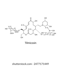 Tetroxoprim-Flatskelett-Molekülstruktur-DHFR-Inhibitor-Antibiotikum, das in der Behandlung von bakteriellen Infektionen verwendet wird. Wissenschaftliches Diagramm Vektorillustration.