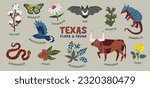 Texas animals and plants. Vector illustration. Clipart collection