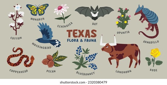 Animales y plantas de Texas. Ilustración vectorial. Colección de clientes