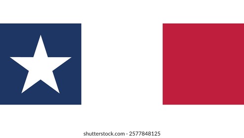 Texas Dodson Flag Vector Illustration Premium Quality