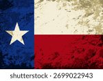Texas flag brush stroke grunge style background layout. Vector illustration.