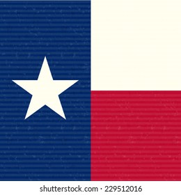 Texas Flag Close up