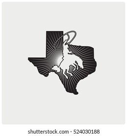 Texas logo.
