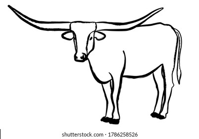 Texas Longhorn bull, cattle icon, on white background. Vector illustrations.