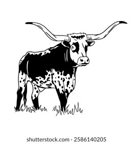 Texas longhorn vector. Design element for poster, t-shirt print, banner. Texas longhorn cattle head and body icon