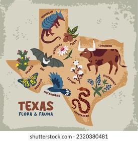 Mapa de Texas con animales y plantas. Ilustración vectorial. Colección de clientes