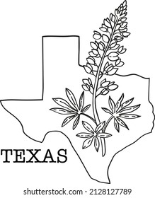 Texas map and bluebonnet