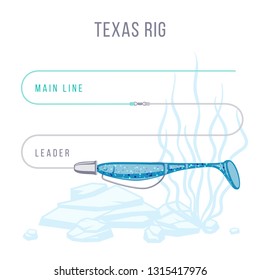 Texas rig fishing tackle setup scheme for catching bass, pike, perch, zander  and other predatory fish.