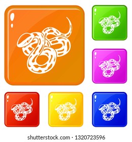 Texas snake icons set collection vector 6 color isolated on white background