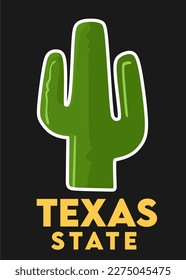 Texas state with black background 