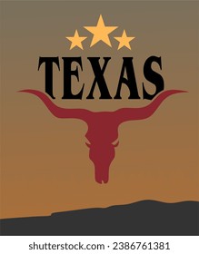 Texas State United States of America