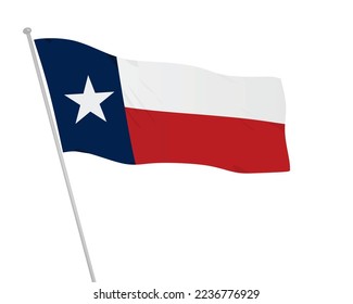 Texas state of USA flag. vector