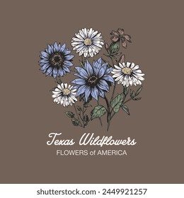 Vector gráfico de dibujo de flores silvestres de Texas