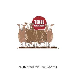 TEXEL FULLBLOODS BREEDING RAM FARM LOGO, Silhouette von großen Schafe stehende Vektorgrafiken.