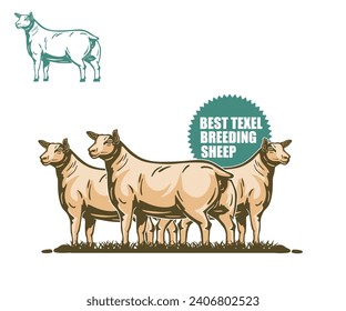 TEXEL THE GREAT SHEEP LOGO, silhouette of big and strong sheep standing in farm vector illustrations svg