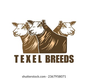 TEXEL HEADS BREEDING FARM LOGO, silhouette of great happy and healthy ram vector illustrations.