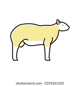 texel sheep color icon vector. texel sheep sign. isolated symbol illustration