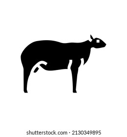 texel sheep glyph icon vector. texel sheep sign. isolated contour symbol black illustration