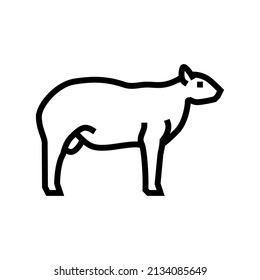 texel sheep line icon vector. texel sheep sign. isolated contour symbol black illustration