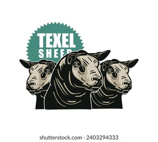 TEXEL SHEEPS HEAD LOGO, silhouette of great ram face vector illustrations