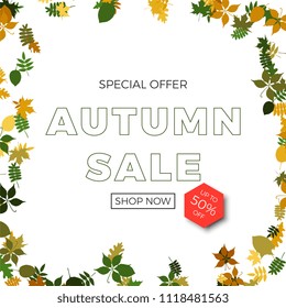 text autumn sale in the frame of autumn leaves on white background