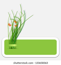text box with grass and butterflies