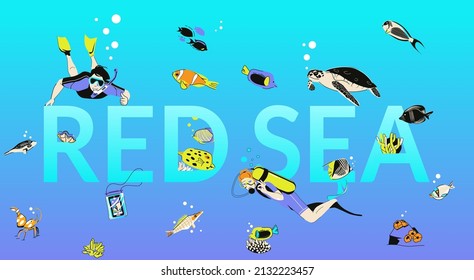 Text composition red sea. Divers, exotic fish and corals. Vector illustration in cartoon style.