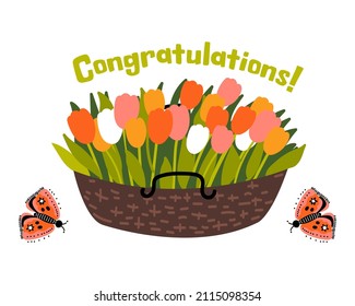 Text Congratulations! Lettering with basket of tulips, flying butterflies. Greeting card.  Vector illustration