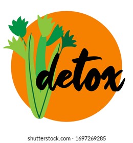 text detox on big celery. Colorful Hand drawn flat cartoon vector illustration isolated on white background. Nutrition diet concept.