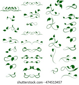 Text divider, floral decor element