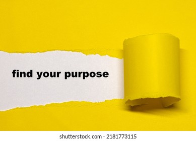 The text of find your purpose on paper. Find your purpose on yellow torn paper. Business concept image.