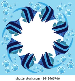 text frame of bright exotic blue fish, floating in a circle and air bubbles on a blue background